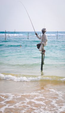 Tepedeki balıkçılar Sri Lanka
