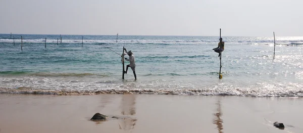 Gólyaláb halászok Srí Lanka — Stock Fotó