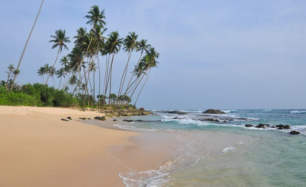 Beach with white sand and palm trees — Stock Photo, Image