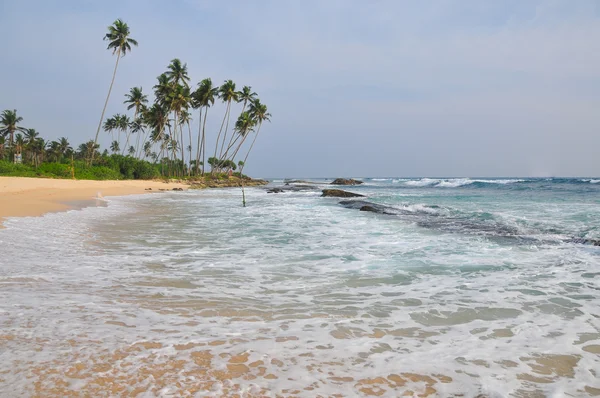 Playa con arena blanca y palmeras — Foto de Stock