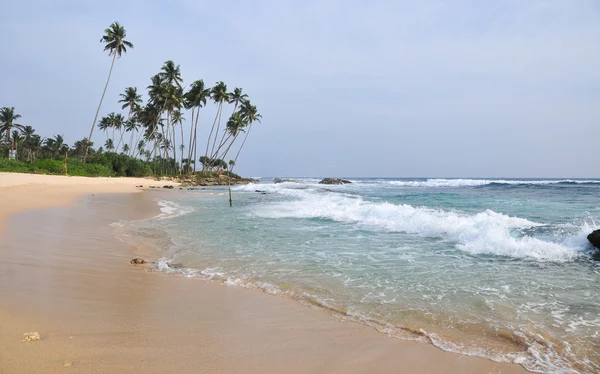 Playa con arena blanca y palmeras — Foto de Stock