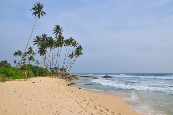 Playa con arena blanca y palmeras — Foto de Stock