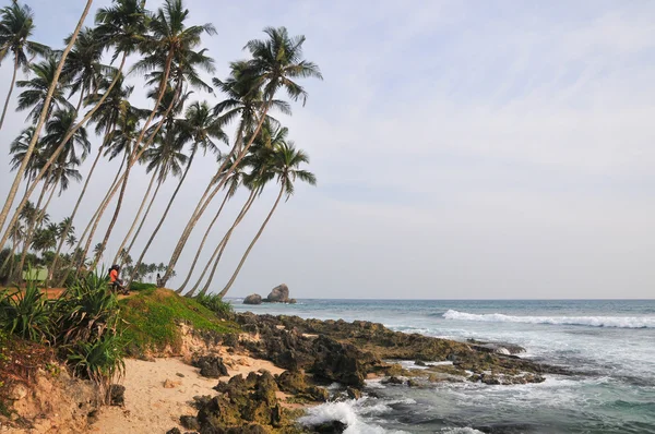 Playa con arena blanca y palmeras — Foto de Stock