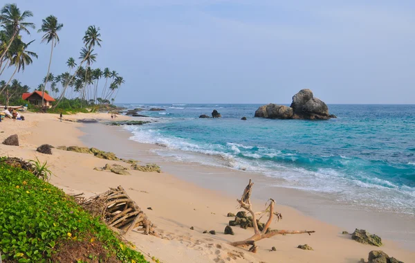 Plaża z białym piaskiem i palmami — Zdjęcie stockowe