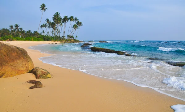 Beyaz kumları ve palmiyeleri olan sahil