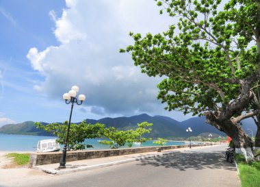 Con Dao Island dağ yolu