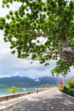 Con Dao Island dağ yolu