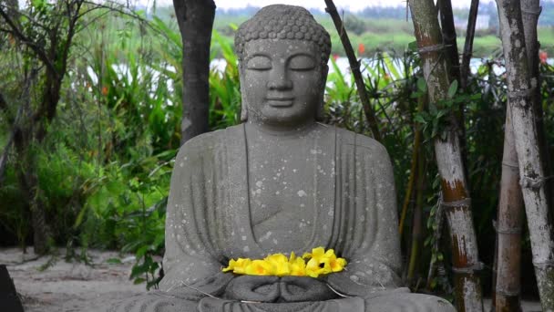 Buddha staty — Stockvideo