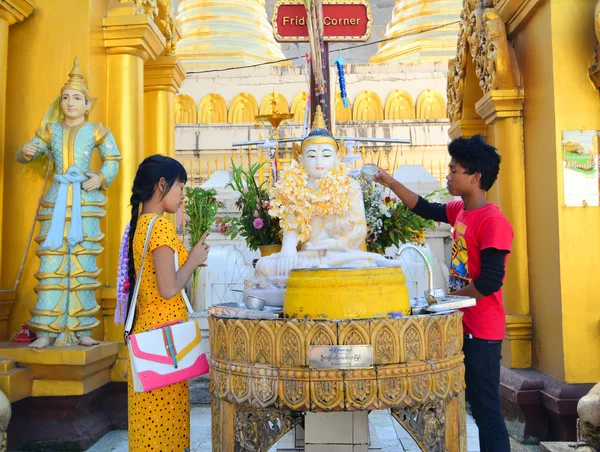 Devotos budistas bañan estatuas de Buda en la pagoda Shwedagon —  Fotos de Stock