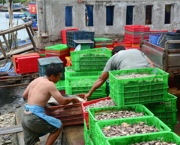 Mitarbeiter auf einem Fischgroßmarkt — Stockfoto