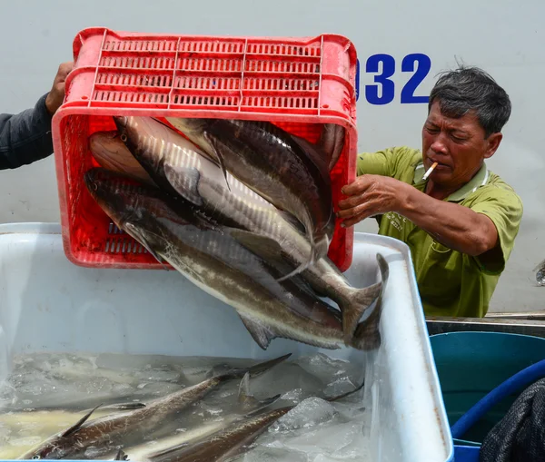 Bir toptan balık market işletmecileri