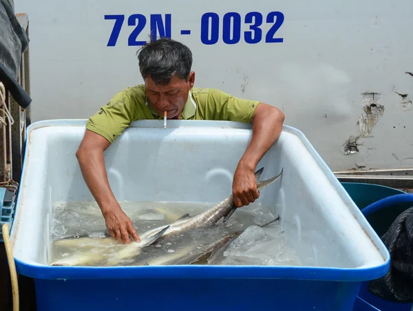 Personas que trabajan en un mercado mayorista de pescado — Foto de Stock