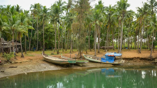 Fiume Serenity in Vietnam — Foto Stock