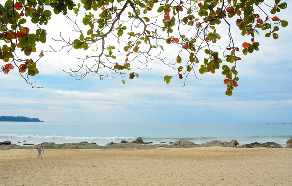 Hermosa playa en Ngapali, Myanmar — Foto de Stock