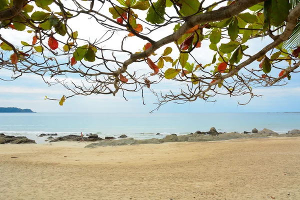 Hermosa playa en Ngapali, Myanmar — Foto de Stock
