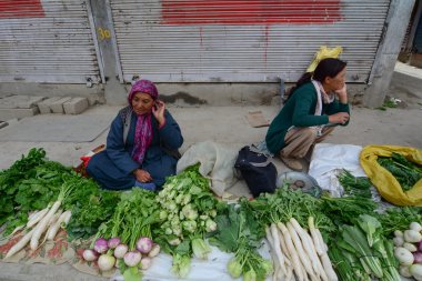 Meyve ve sebze satan Ladakhi bayanlar