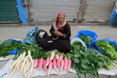 Meyve ve sebze satan Ladakhi bayanlar