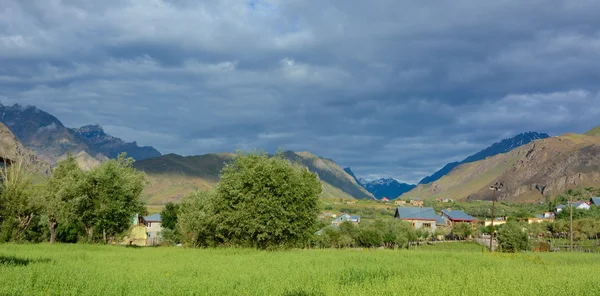 Groen veld voor dorpje — Stockfoto