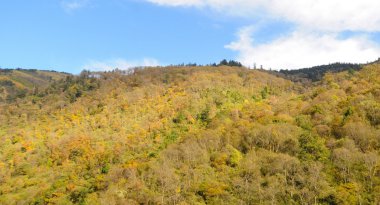 Sichuan yüksek dağlarda görünümünü