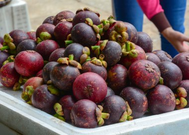 Taze organik mangosten meyve piyasada