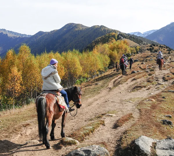 Turista asiático con caballo visting otoño bosque —  Fotos de Stock