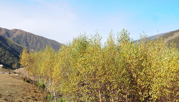 Mount Siguniang w Sichuan, Chiny. — Zdjęcie stockowe