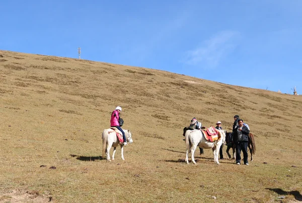 Asian tourist with horse visting autumn forest — Stock Photo, Image