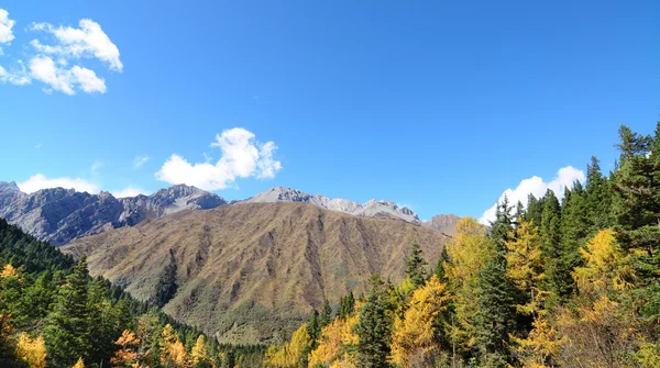Mount Siguniang w Sichuan, Chiny. — Zdjęcie stockowe