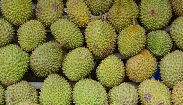 Durian fruits for sale at the market in Mekong Delta — Stock Photo, Image