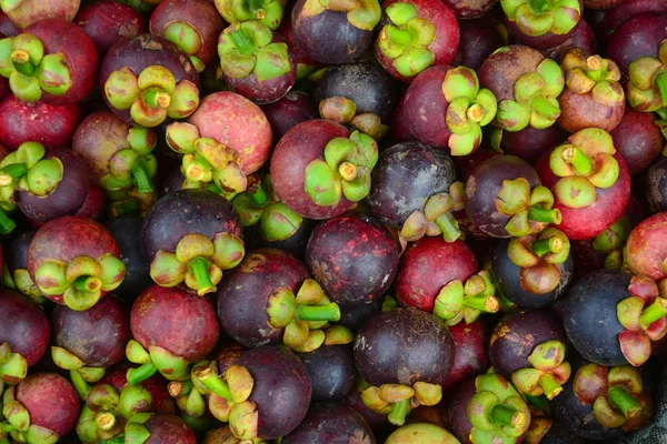 Frutos de mangostão orgânicos frescos no mercado — Fotografia de Stock