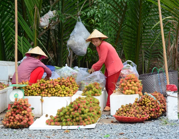 Vietnamca kadınlar birçok tropik meyve satan 