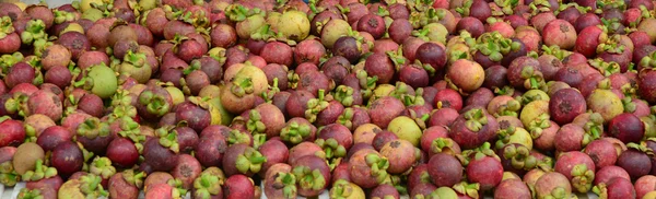 Frutta fresca di mangostano biologica al mercato — Foto Stock