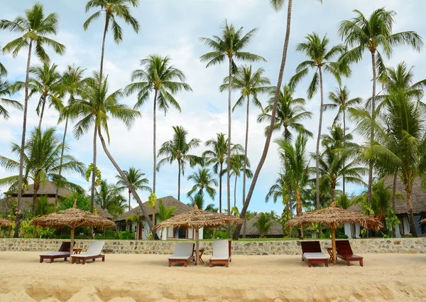 Beautiful beach resort with many coconut trees — Stock Photo, Image