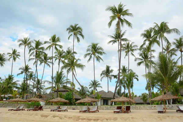 Beautiful beach resort with many coconut trees