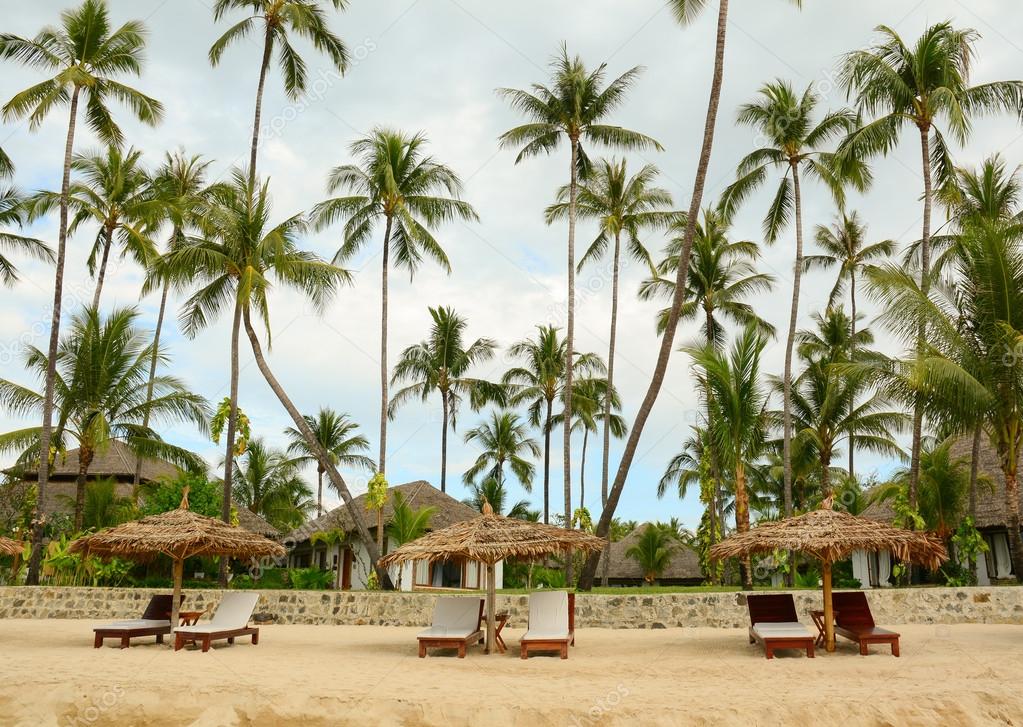 Beautiful beach resort with many coconut trees