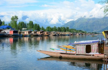 Dal göl, Srinagar yaşam tarzı