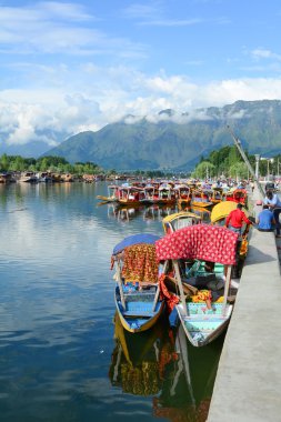 Dal göl, Srinagar yaşam tarzı