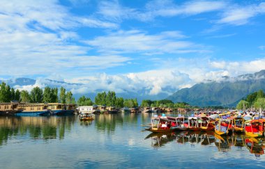 Dal göl, Srinagar yaşam tarzı