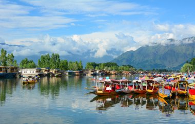 Dal göl, Srinagar yaşam tarzı
