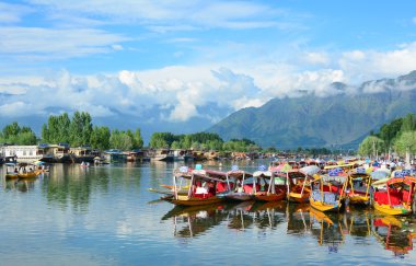 Dal göl, Srinagar yaşam tarzı