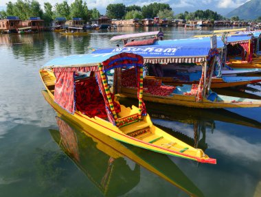 Dal göl, Srinagar yaşam tarzı