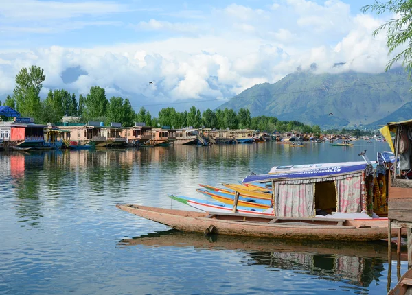 Dal göl, Srinagar yaşam tarzı