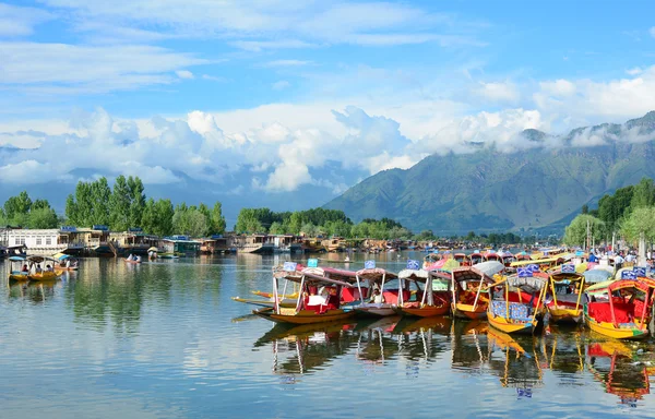 Dal göl, Srinagar yaşam tarzı
