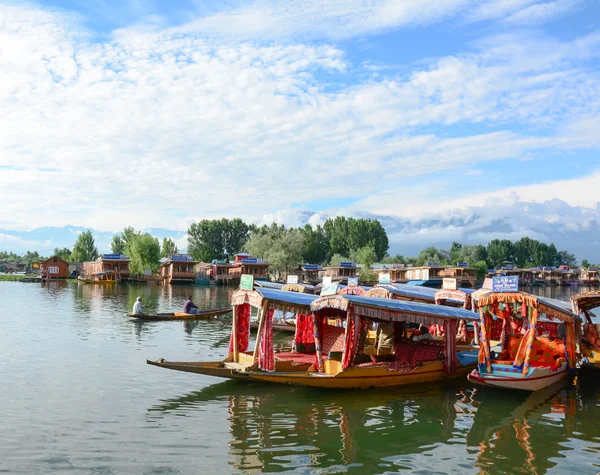 Estilo de vida em Lago Dal, Srinagar — Fotografia de Stock