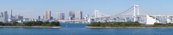 Panorama von tokyo von odaiba aus gesehen — Stockfoto