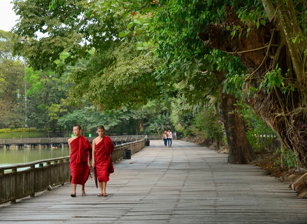 Monjes birmanos caminan alrededor del lago Kandawgyi — Foto de Stock