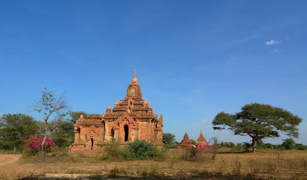 Widok z Pagan-Birma świątynie, Myanmar — Zdjęcie stockowe