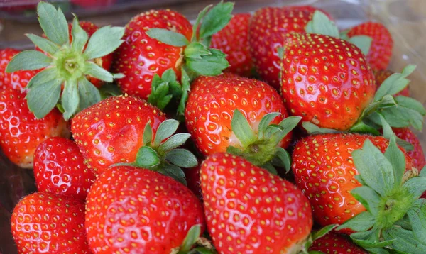 Fragola fresca al mercato rurale Brinchang — Foto Stock