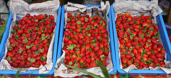 Fresh strawberry at rural market Brinchang — Stock fotografie