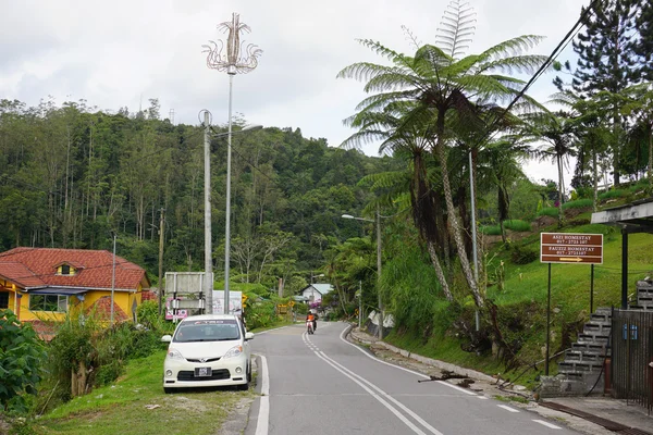 Camino de montaña en Cameron Highlands — Foto de Stock